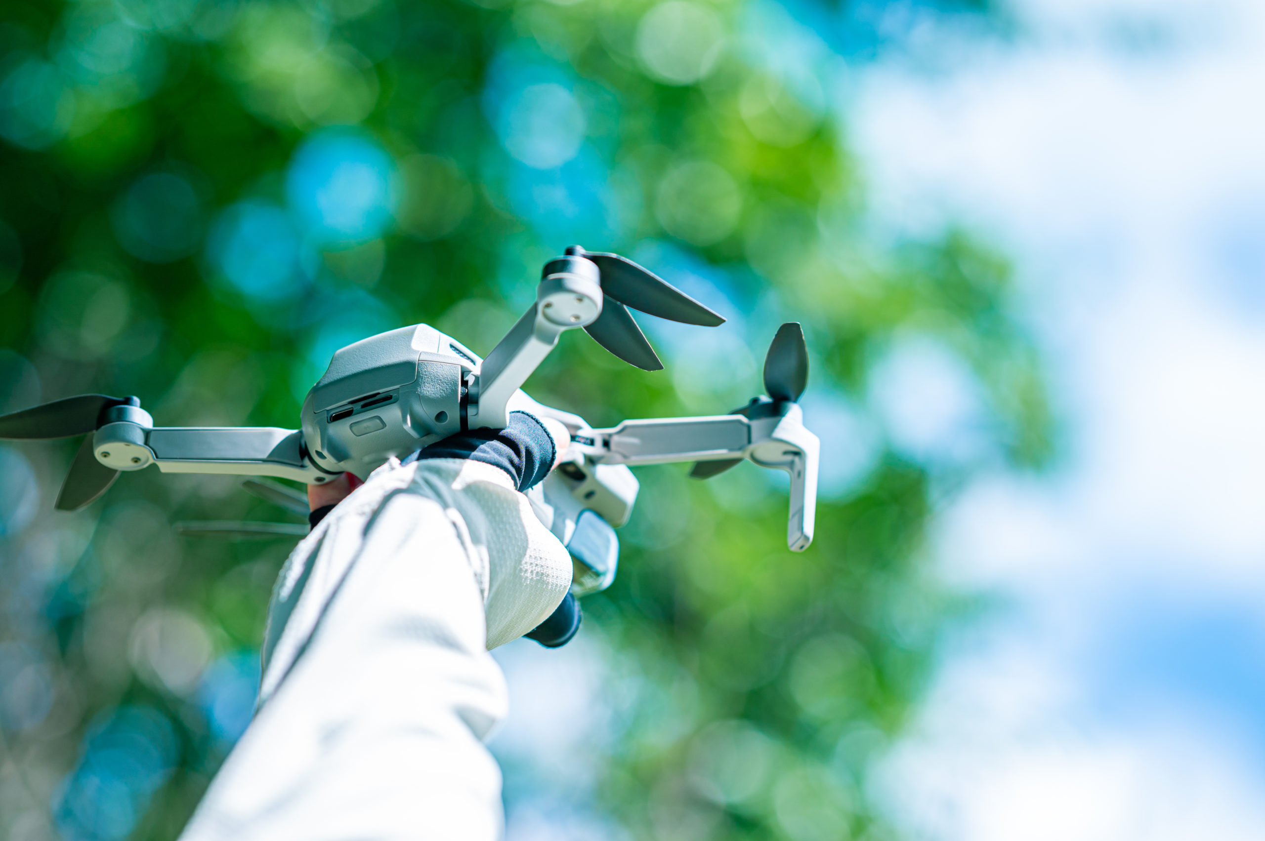 二等・初学者向け写真